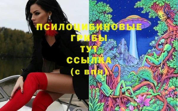 стаф Медвежьегорск