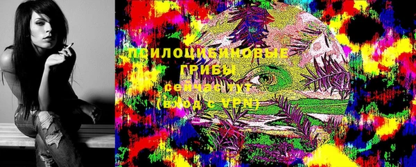 стафф Медногорск