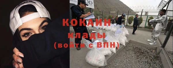стафф Медногорск