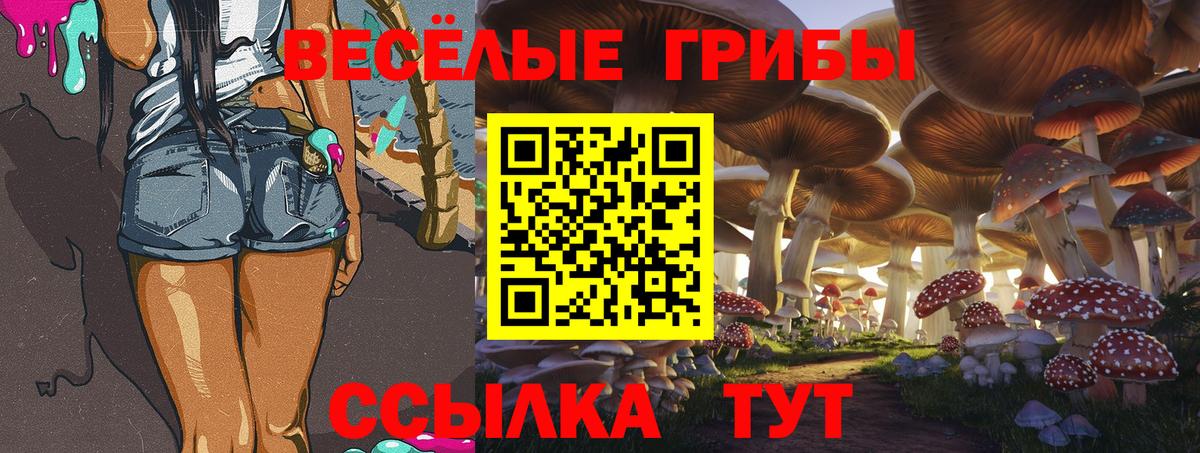 Галлюциногенные грибы Magic Shrooms Шадринск