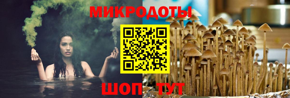 Галлюциногенные грибы прущие грибы  Галлюциногенные грибы MAGIC MUSHROOMS  Вход с VPN  как найти   Шадринск 