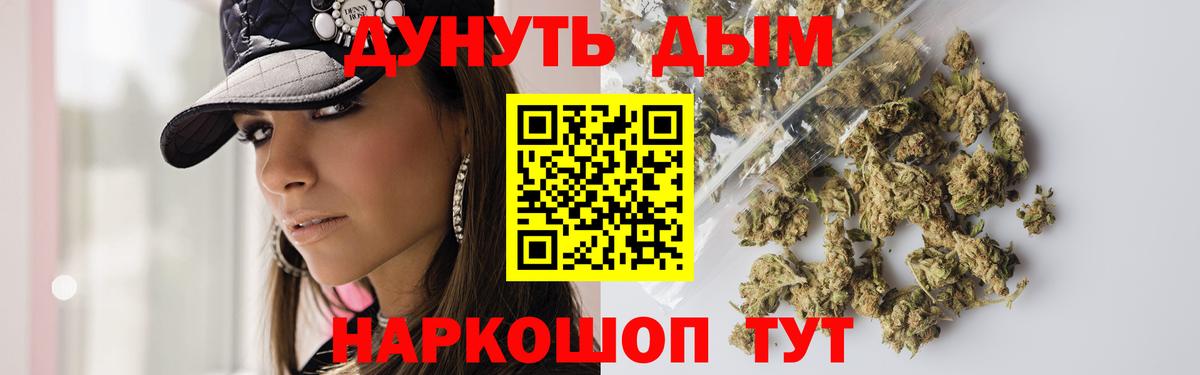 A PVP Шадринск